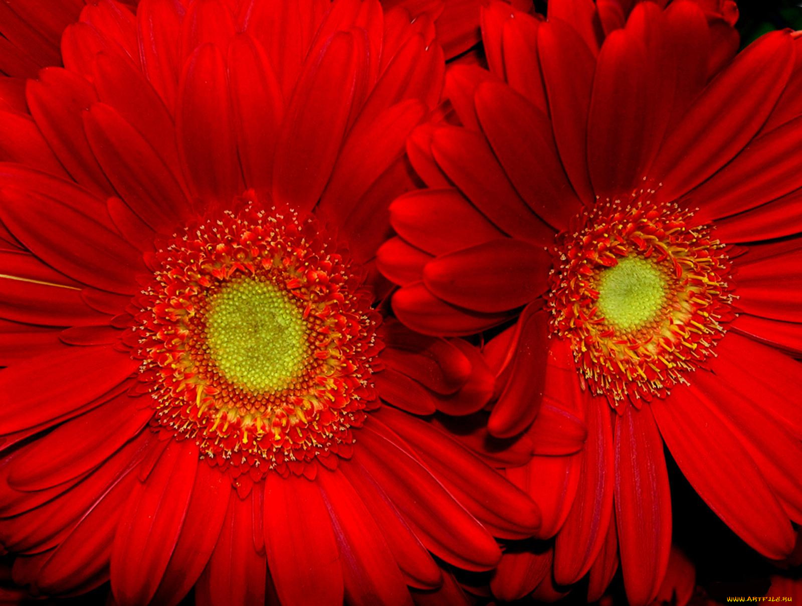 , , 